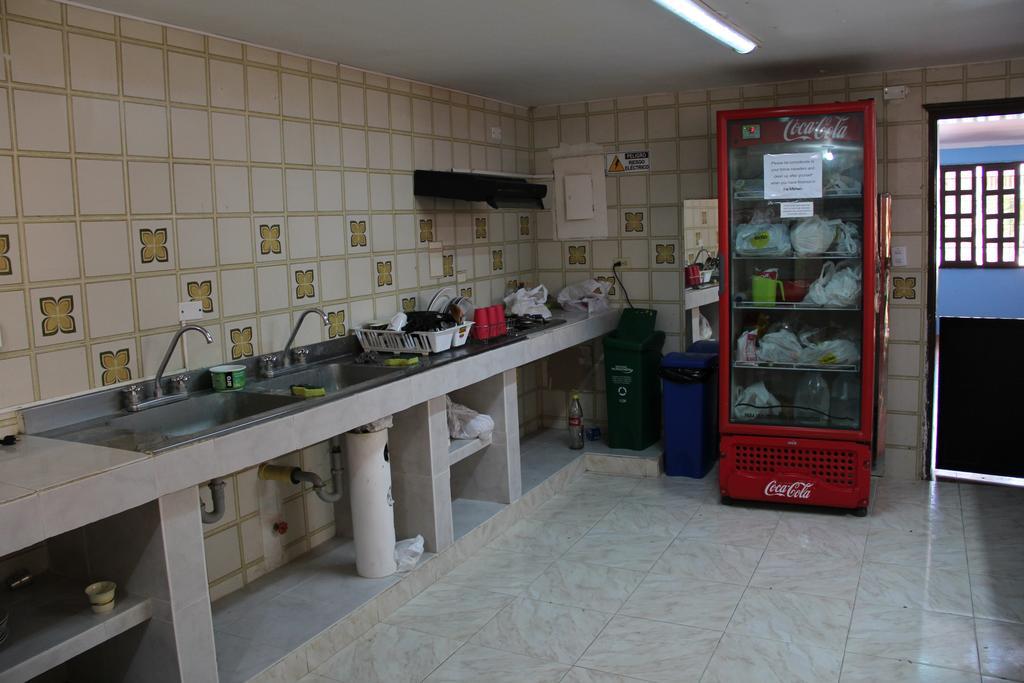 Drop Bear Hostal