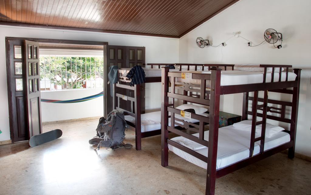 Drop Bear Hostal *
